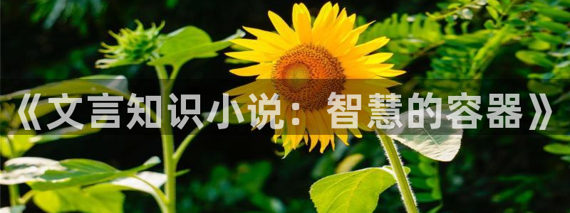 sf轻小说吧